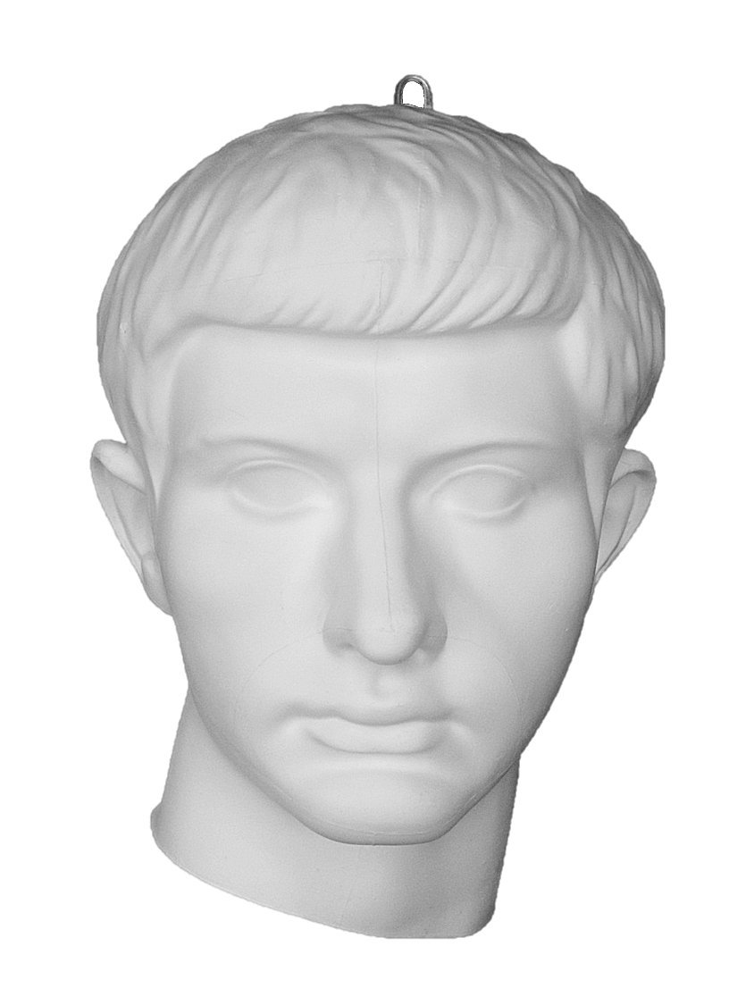 Amazon.co.jp: 石膏像 M－428 青年ブルータス半面 H．32cm