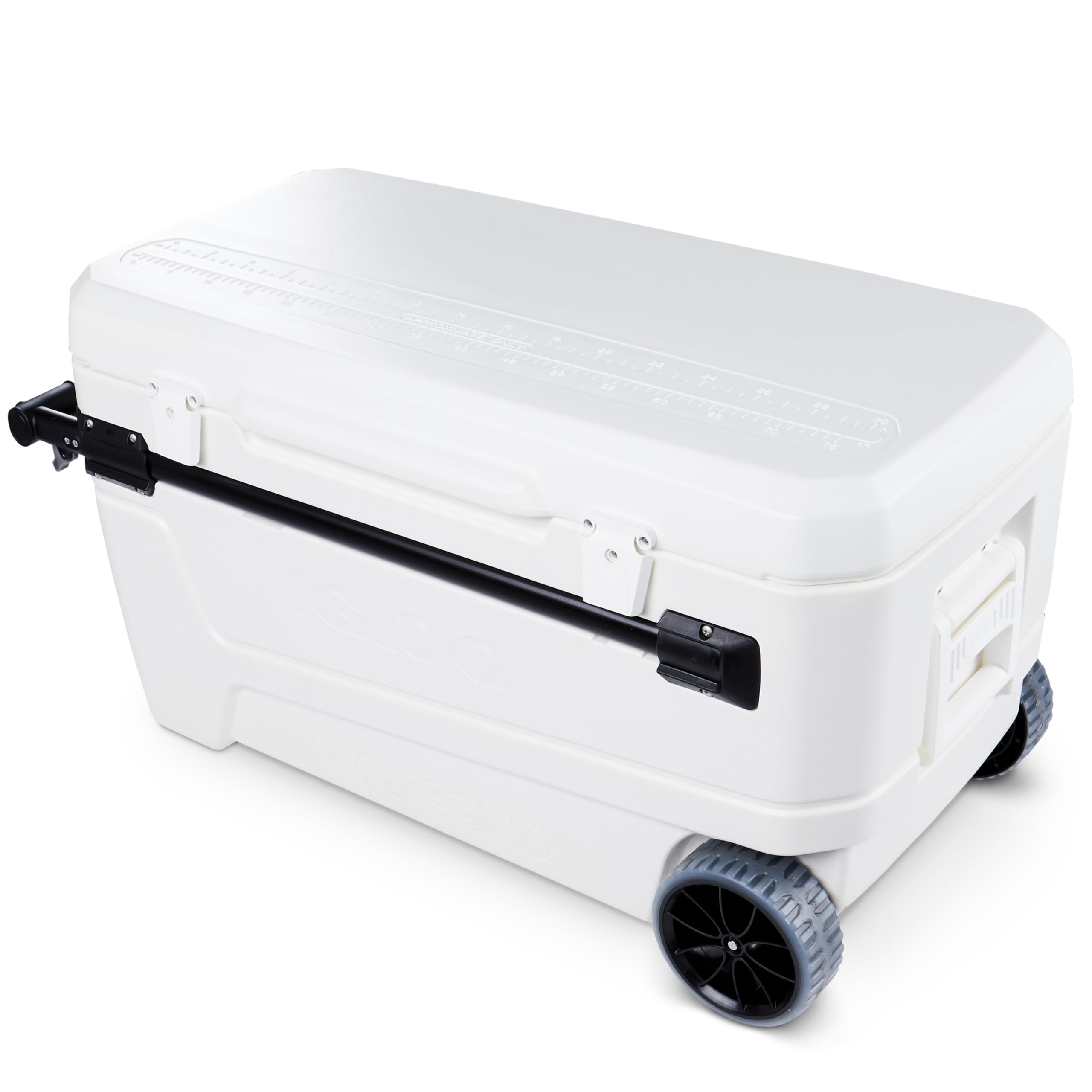 Amazon.co.jp: Igloo Glide PRO Cooler (110-Quart, White) : Sports