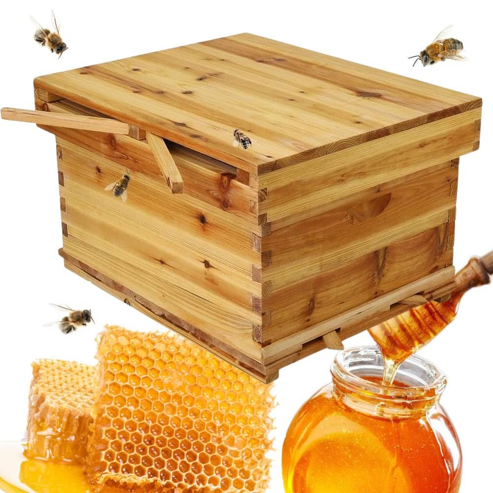 Amazon | iimono117 蜜蜂巣箱 養蜂箱 (幅55×奥行45×高さ34cm)ミツバチ