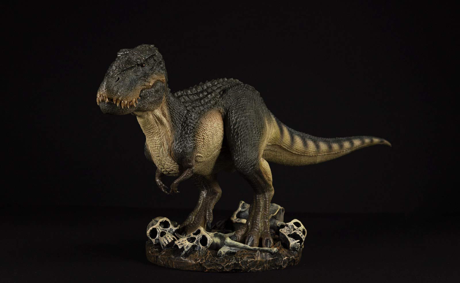 Amazon | Nanmu 本心楠改 1/35 サイズ ヴァスタトサウルス·レックス