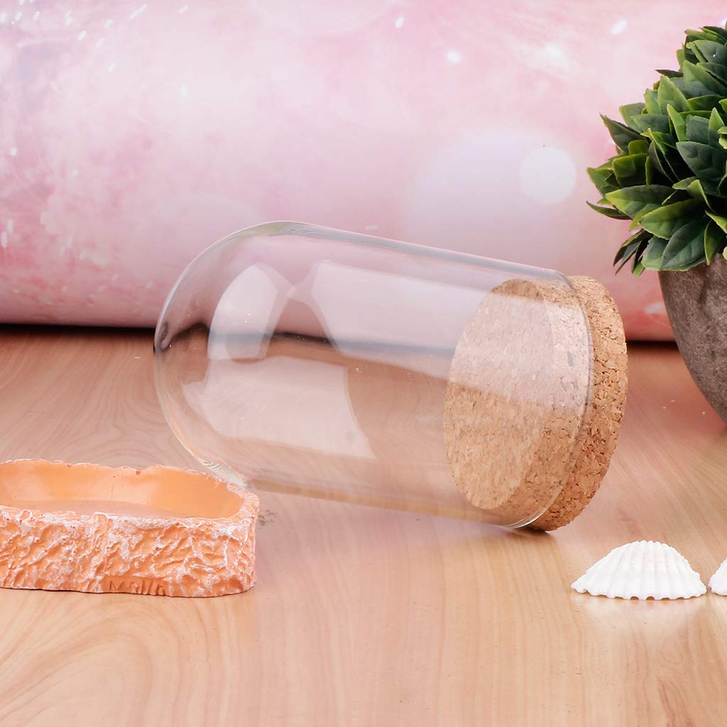 Amazon.co.jp: ミニ ガラス ドームカバー コルクベース ドライフラワー