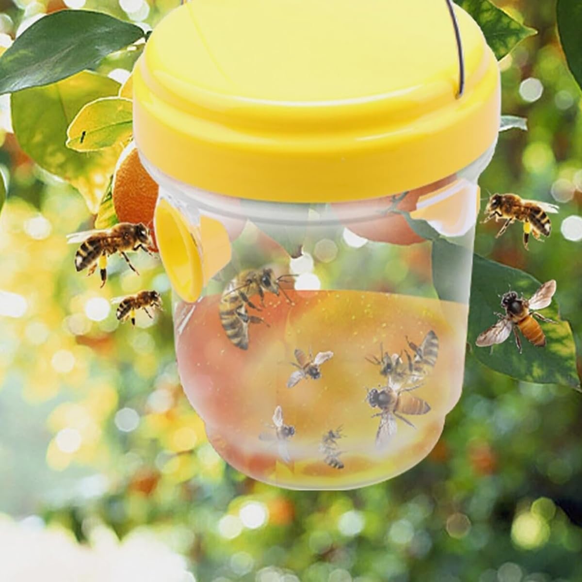 Amazon.co.jp: ミツバチトラップ ハチ捕獲器 昆虫トラップ 吊り下げ