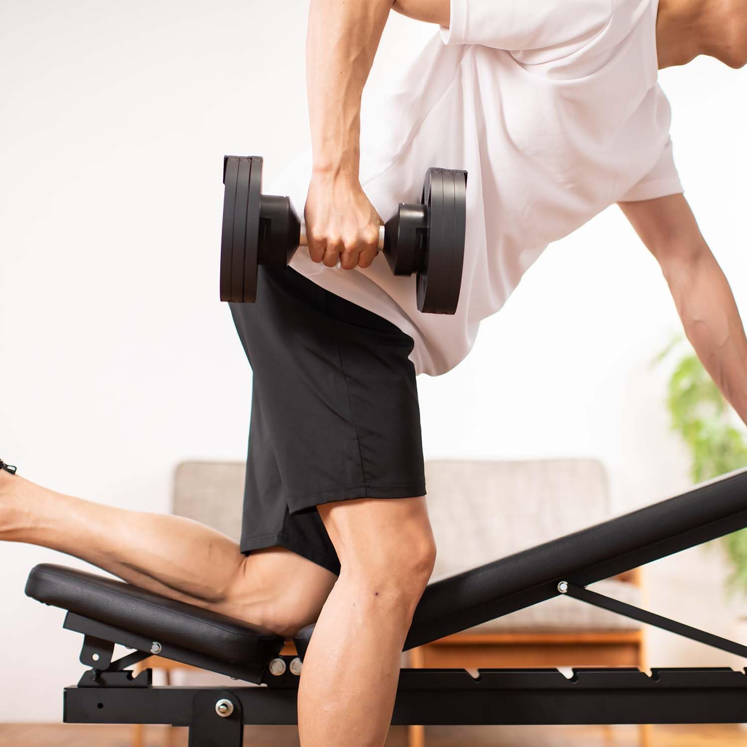 Amazon.co.jp: TEDDY WORKS KENSUI kaku 専用トレーニングベンチ 耐