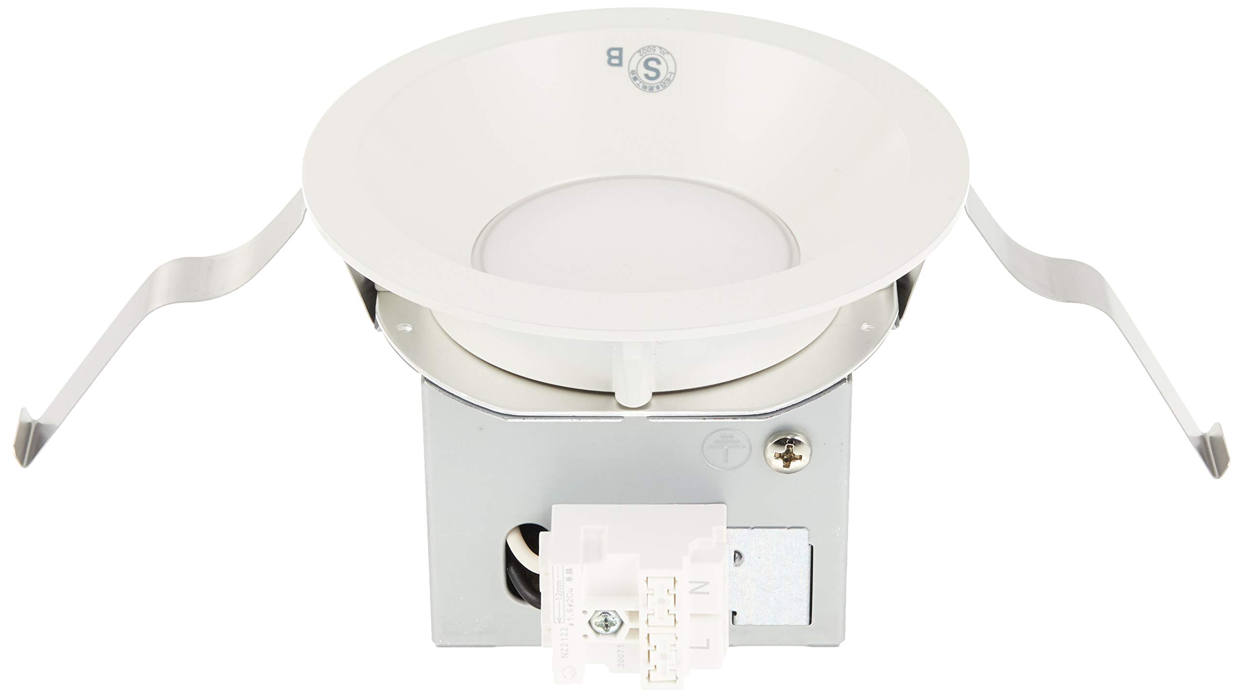 Amazon.co.jp: 大光電機（DAIKO） ダウンライト(軒下兼用) LED