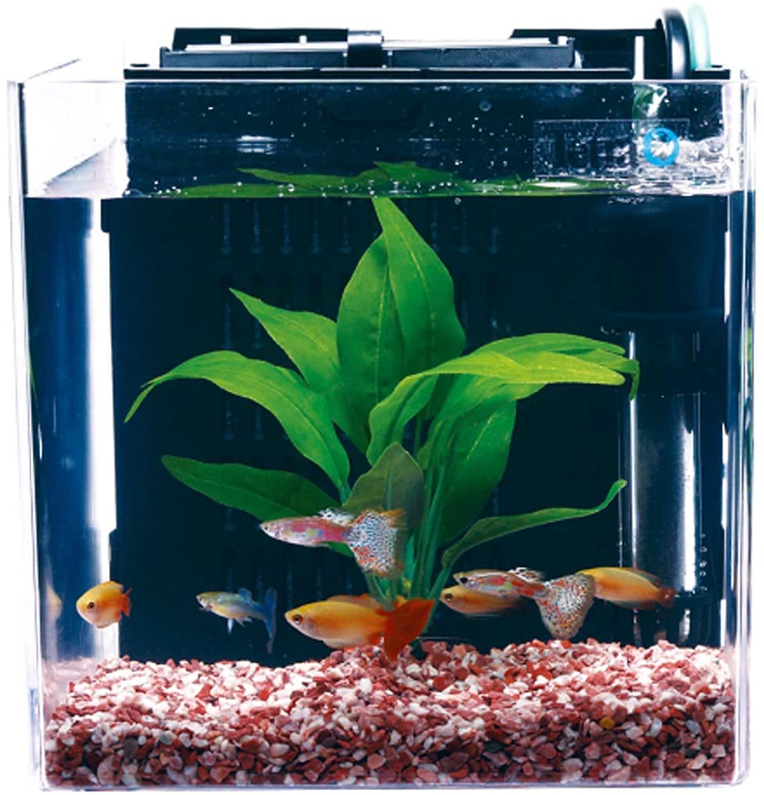 Amazon | テトラ (Tetra) スマート熱帯魚飼育セットSP-17TF (水槽容量