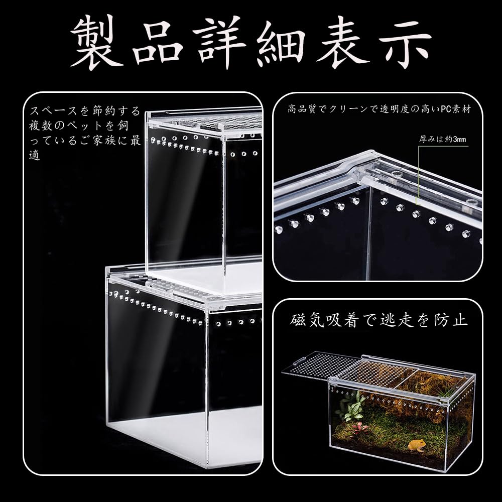 Amazon | Raineed 爬虫類 ケージ トカゲ 飼育セット カエル 水槽