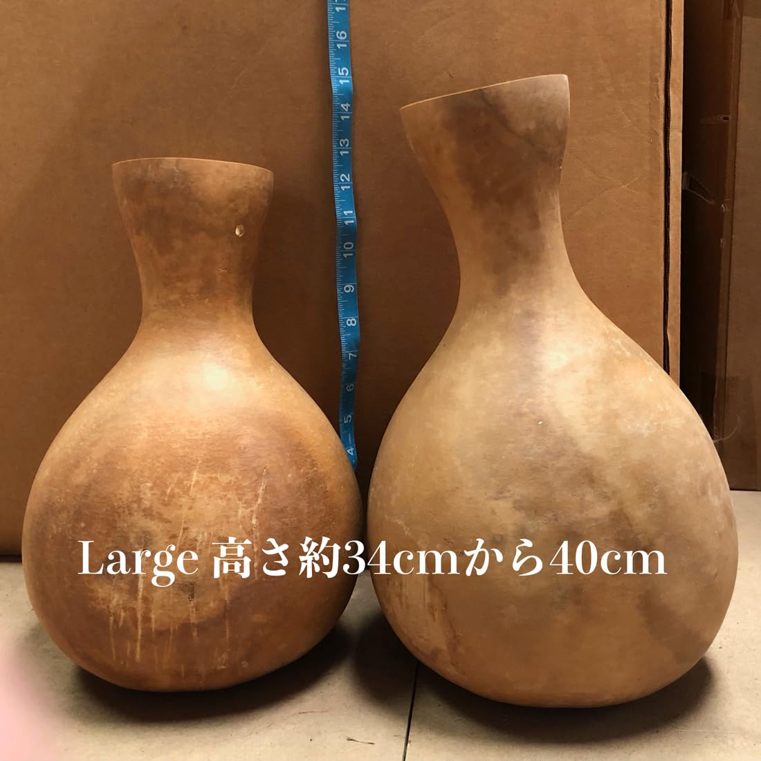 Amazon | [Hula Kahiko] イプ（多いほどお得なセット）Ipu'ole 打楽器