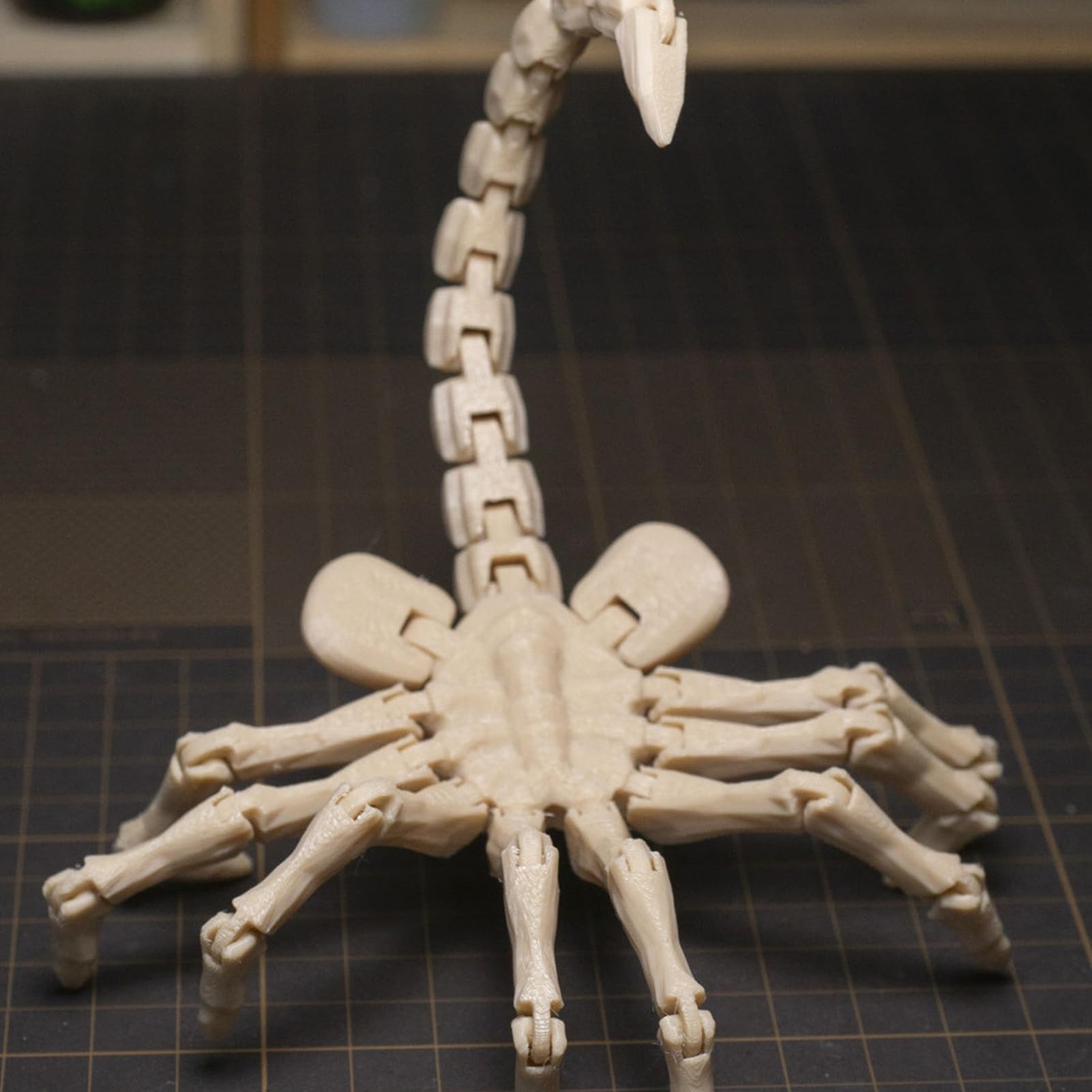 Amazon.co.jp: Facehugger アクションフィギュア、3D プリント