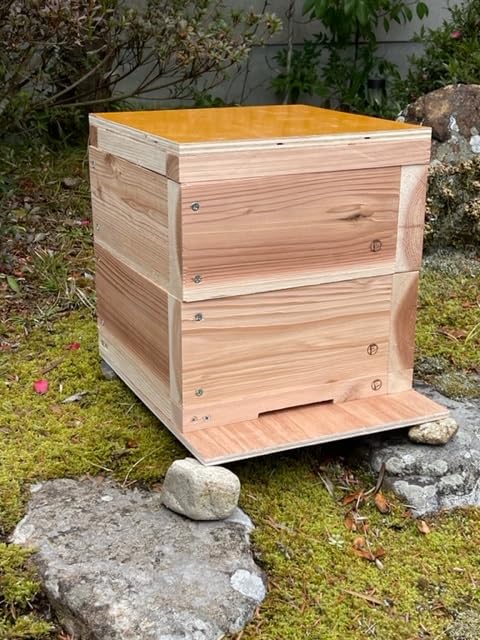 Amazon.co.jp: 日本みつばち用 飼育箱 簡単 重箱式巣箱 待ち箱 養蜂