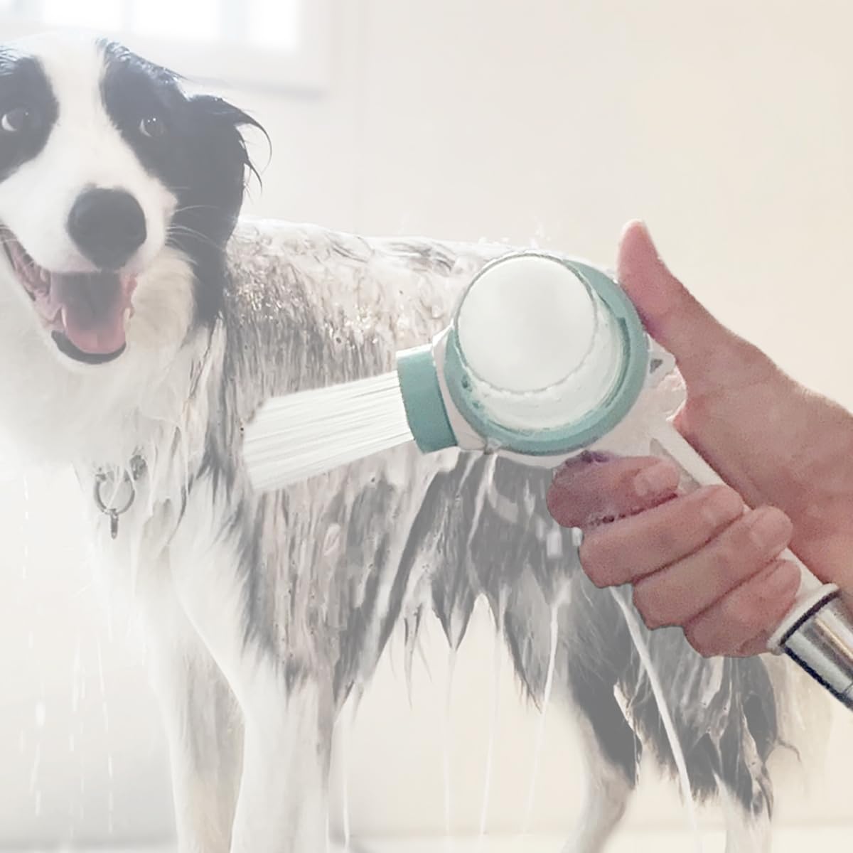 Amazon.co.jp: ペット用 シャワーヘッド シャワニー・カラー