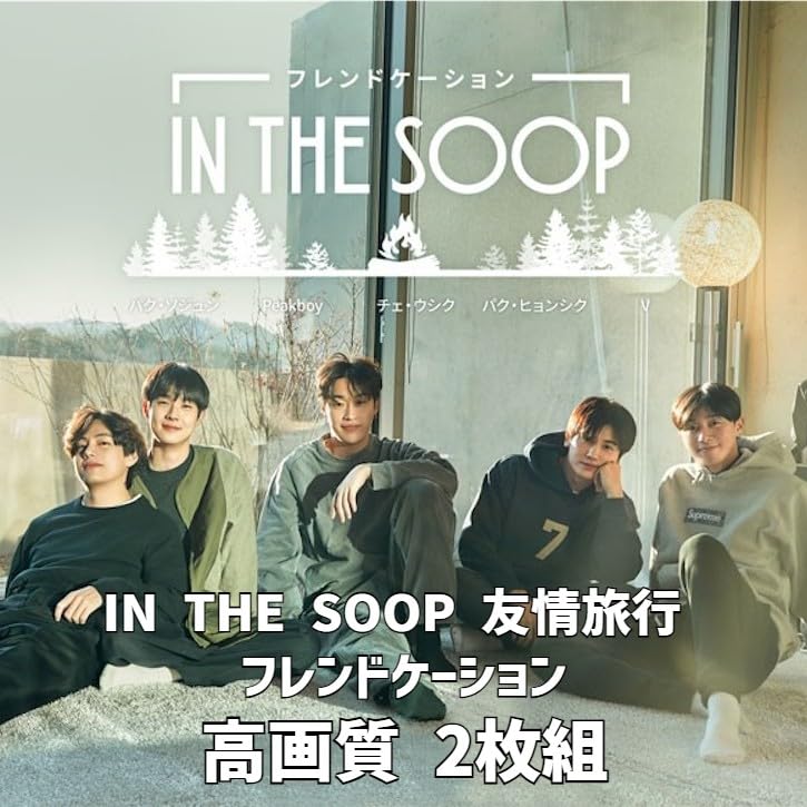 イン・ザ・スープ〈2枚組〉DVD イン・ザ・スープ DVD 2枚組 イン・ザ・