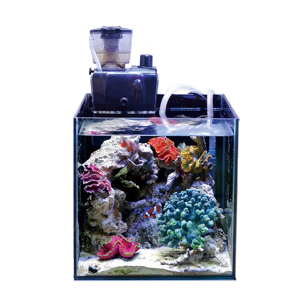 Amazon.co.jp: ゼンスイ QQ3 外掛け式プロテインスキマー｜大型水槽