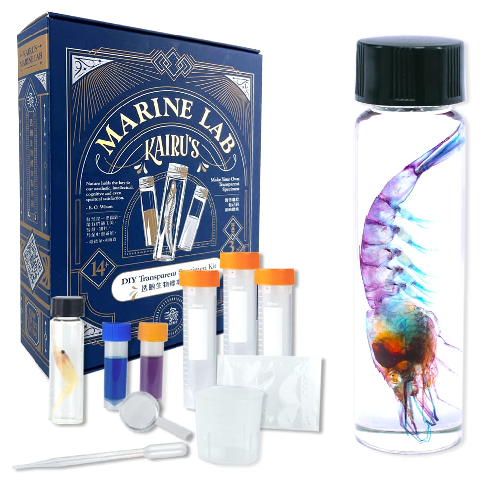 Amazon | DIY透明標本製作セット、エビ類 | 生物・動物・人体 | おもちゃ