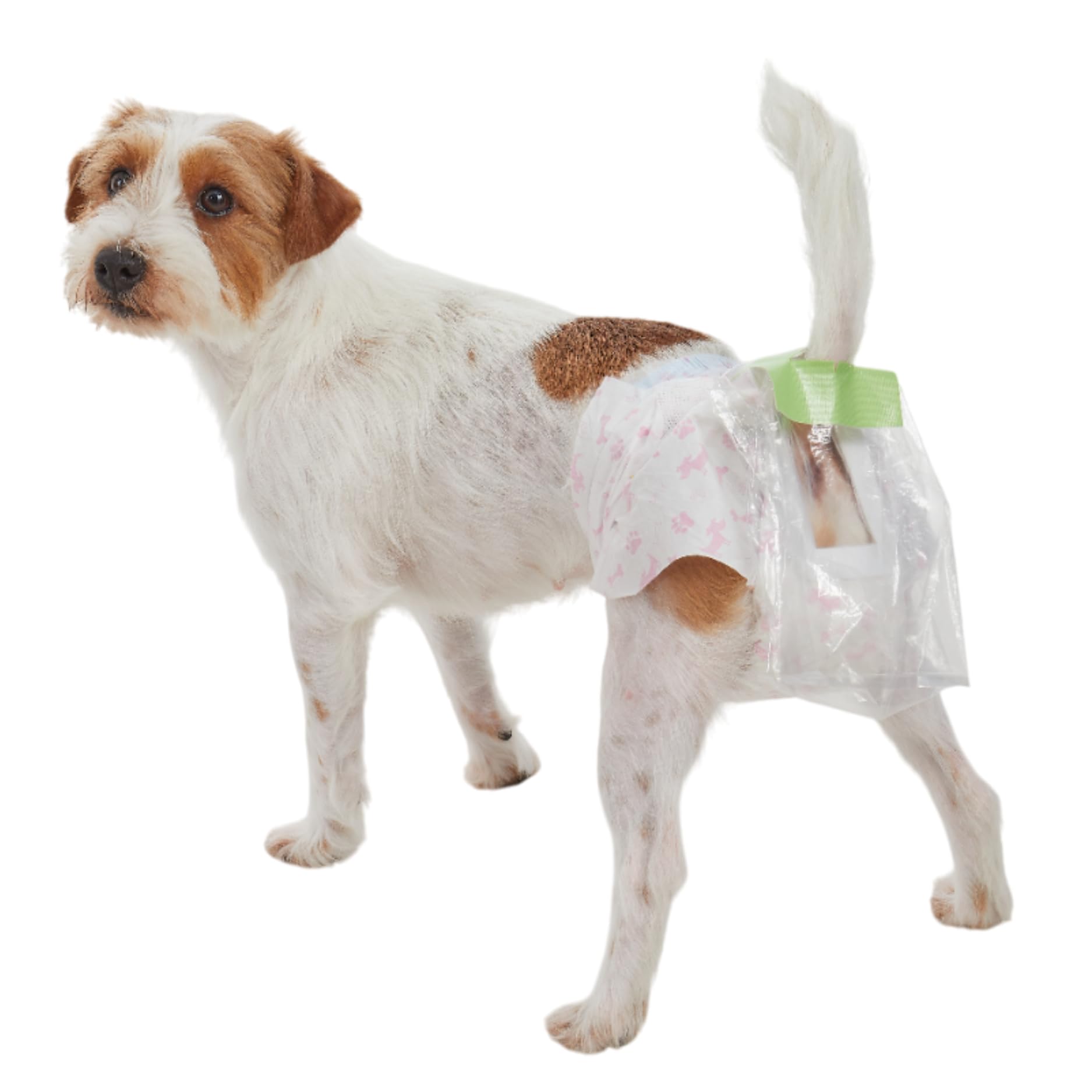 Amazon.co.jp: うんぽパンツ M・32枚 オムツ うんちポケット付き 犬