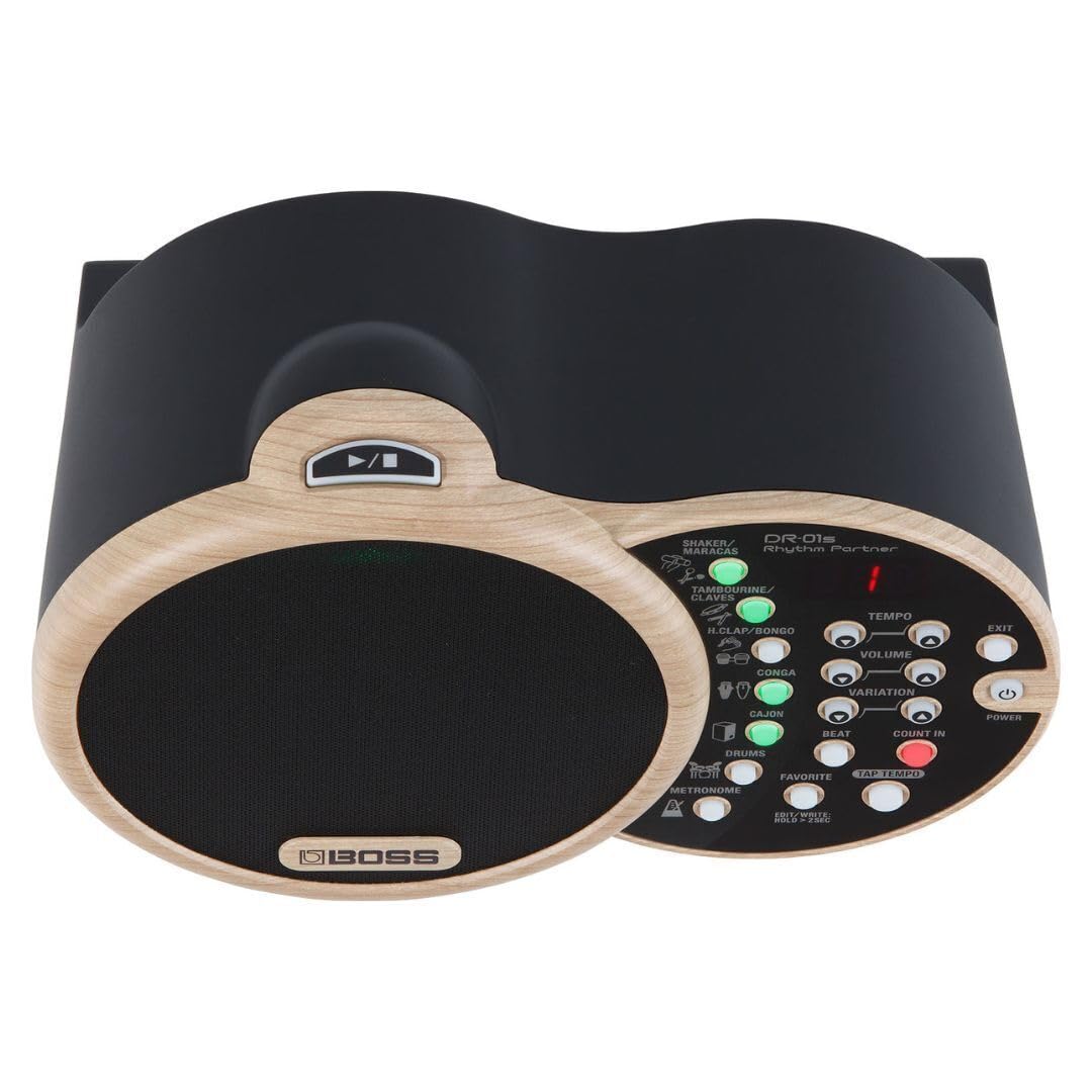 Amazon.com: BOSS DR-01S Rhythm Partner (DR-01S) : Musical Instruments