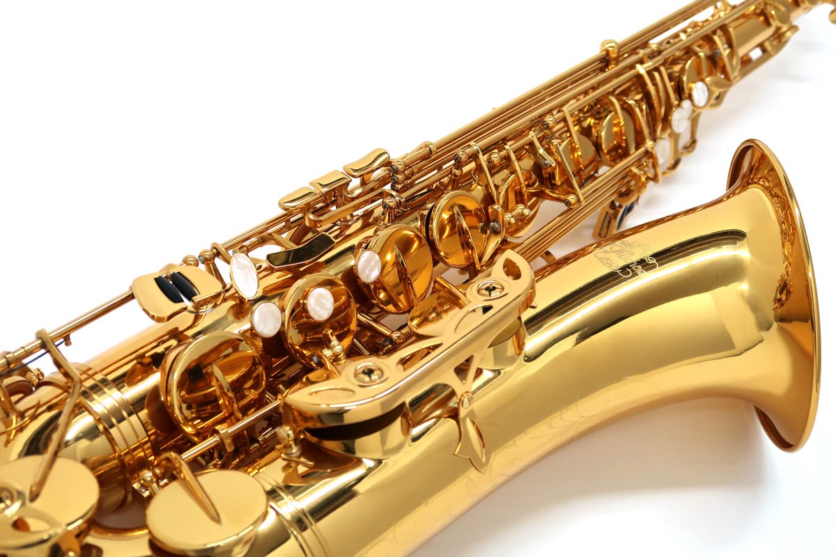 Amazon | Jマイケル テナーサックス TN-900 | リード | 楽器・音響機器