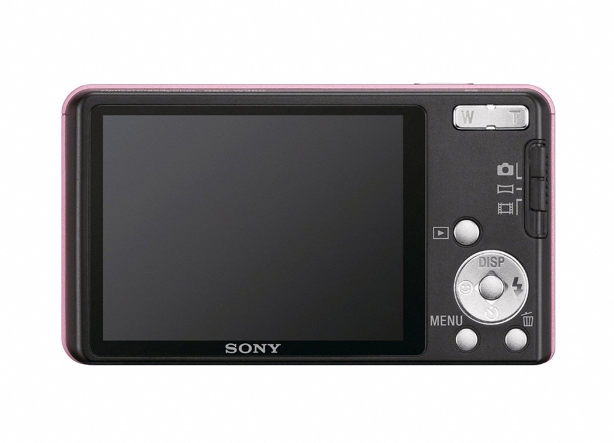 Amazon.com : Sony DSC-W350 14.1MP Digital Camera with 4x Wide