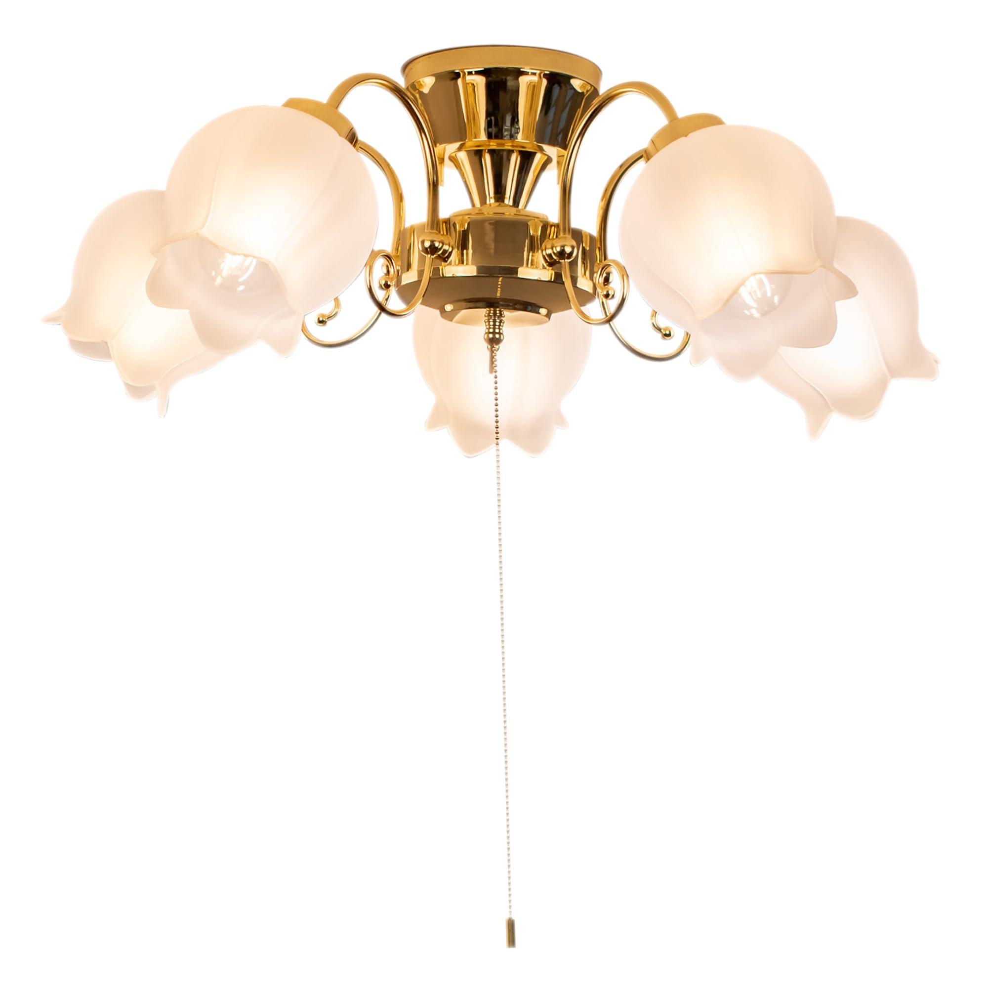 Amazon.co.jp : Amplimle シーリングライト 5灯 照明 シャンデリア E26