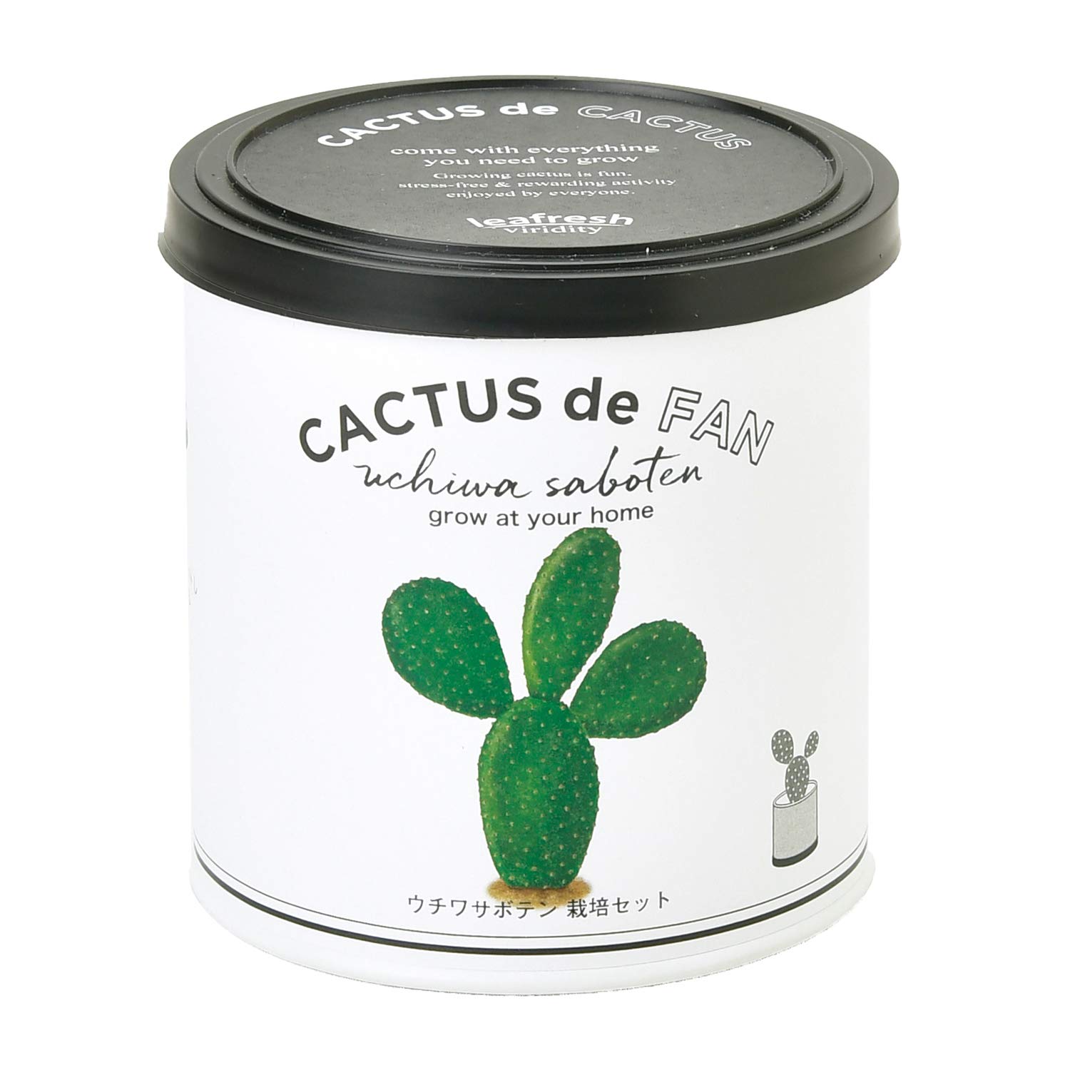 Amazon.co.jp: 聖新陶芸 栽培キット カクタスdeカクタス ウチワ