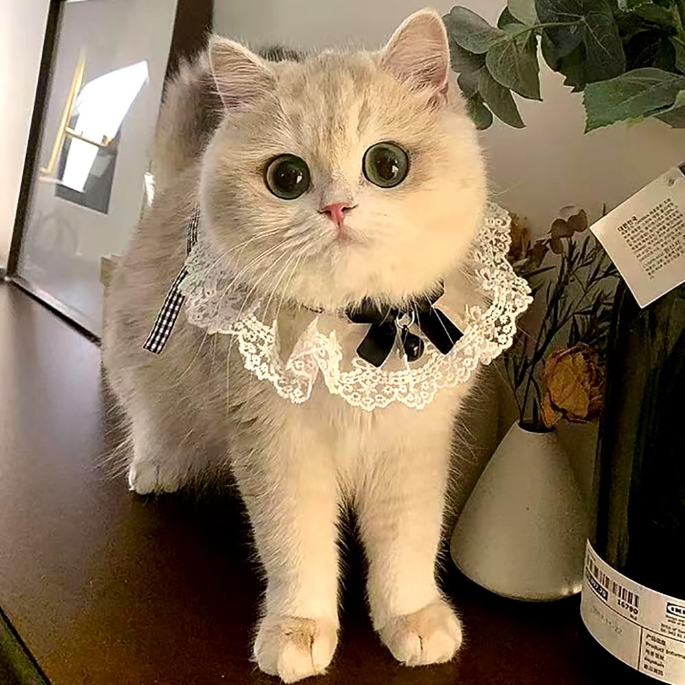 Amazon | TCYYNEK 猫首輪 犬首輪 リボン かわいい首輪 猫くびわ 猫