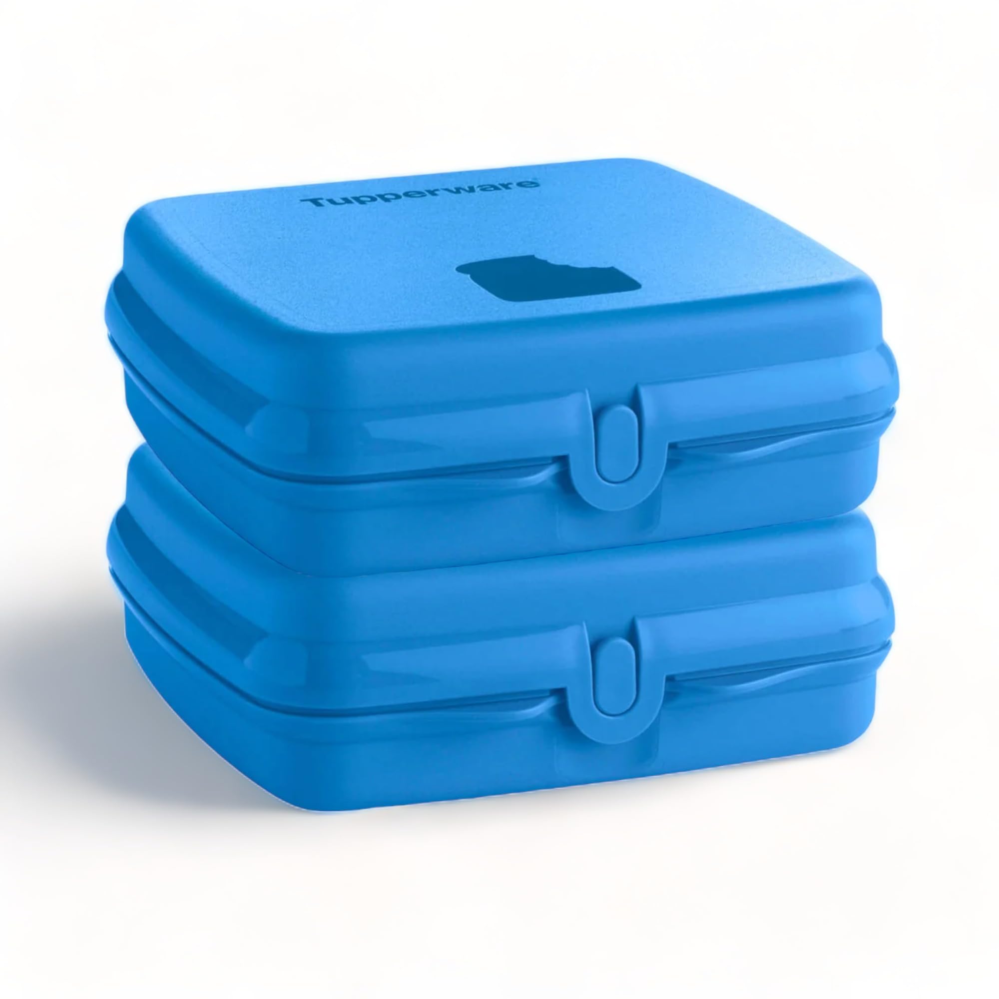 Amazon.com: Tupperware Sandwich Keeper Set of 2 in Blue: Home