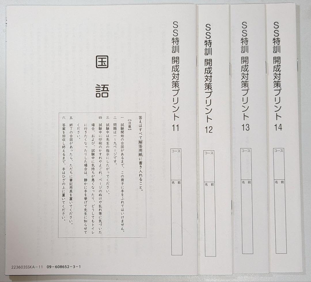 令和8年NN桜蔭正月特訓 算数4理科4国語2 合計10セット 令和8年NN桜