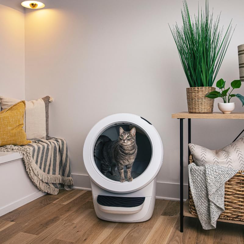 Amazon | 猫 自動トイレ whisker Litter-Robot 4 猫用 全自動トイレ