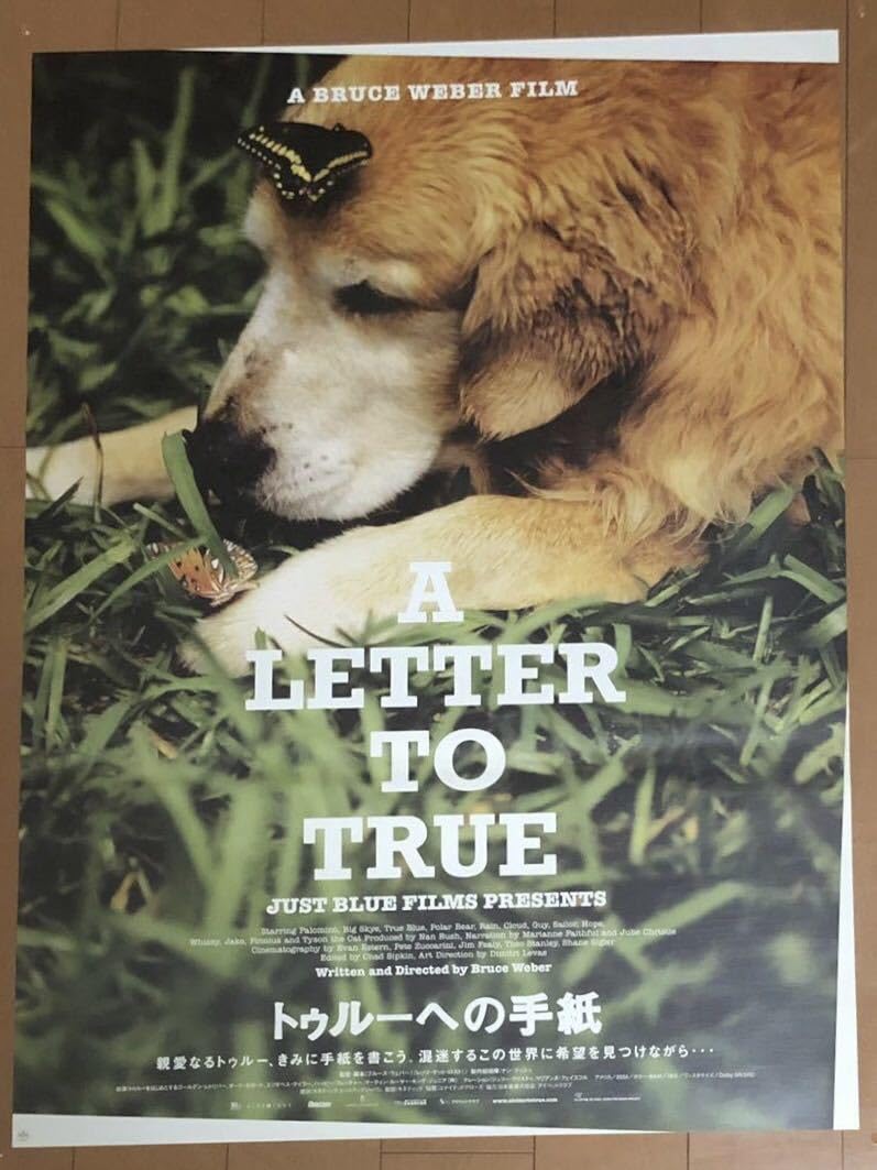 Amazon.co.jp: m854 映画ポスター トゥルーへの手紙 A LETTER TO TRUE