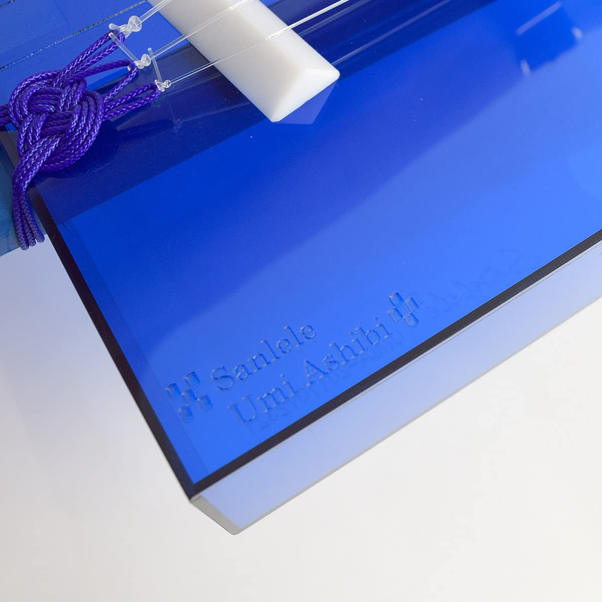 Amazon.co.jp: マチダヤ Sanlele サンレレ海遊び／ブルー ミンサー