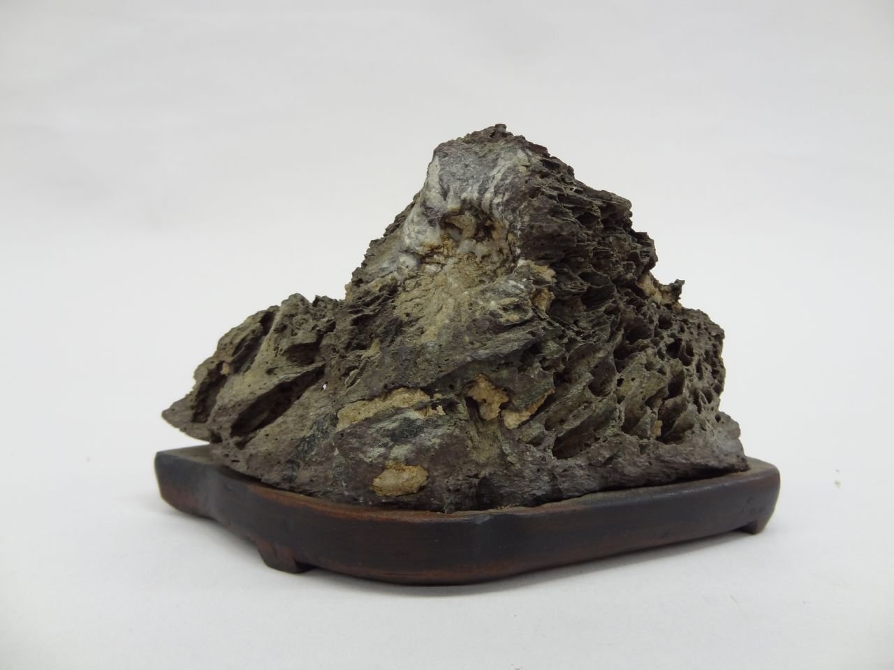 Amazon.co.jp: C0016 水石 多摩菊花石 Tmakikka-seki 台付 : ホーム