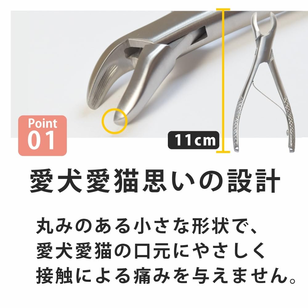 Amazon.co.jp: [帝塚山ハウンドカム] 愛犬愛猫用 歯石取りペンチ