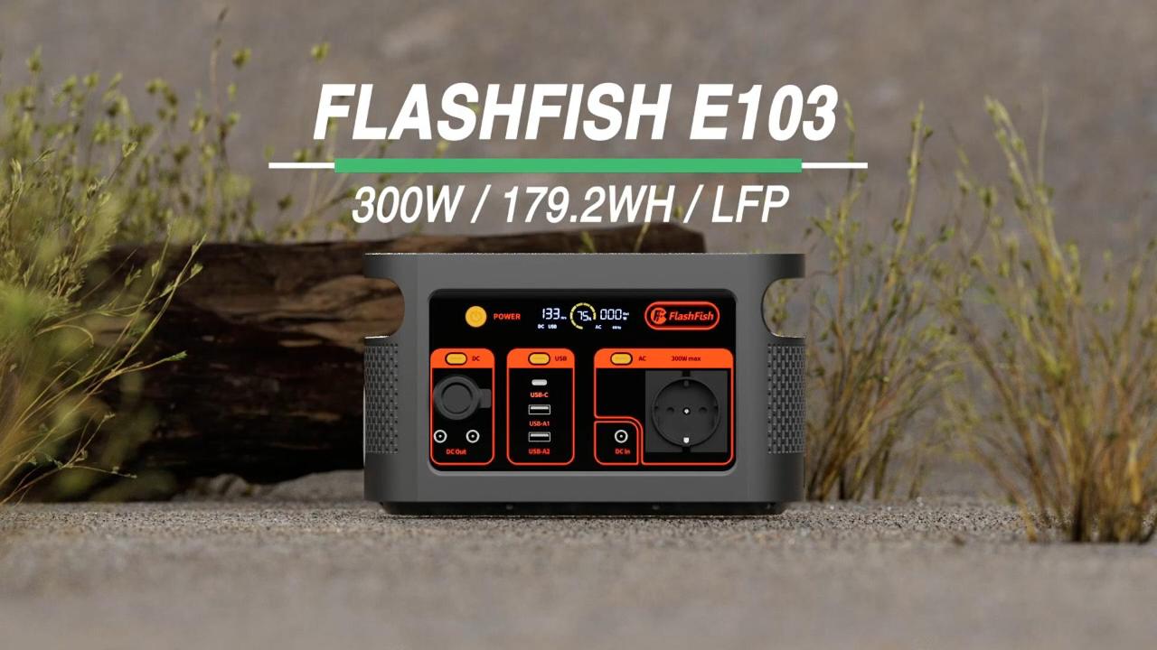 Amazon.com: FF Flashfish Portable Power Station, 179Wh LiFePO4
