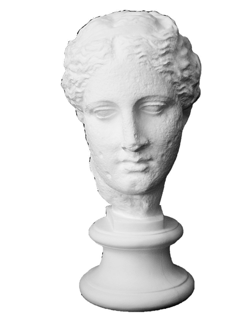 Amazon.co.jp: 石膏像 S－205 古代ヴィーナス首像（アバタの