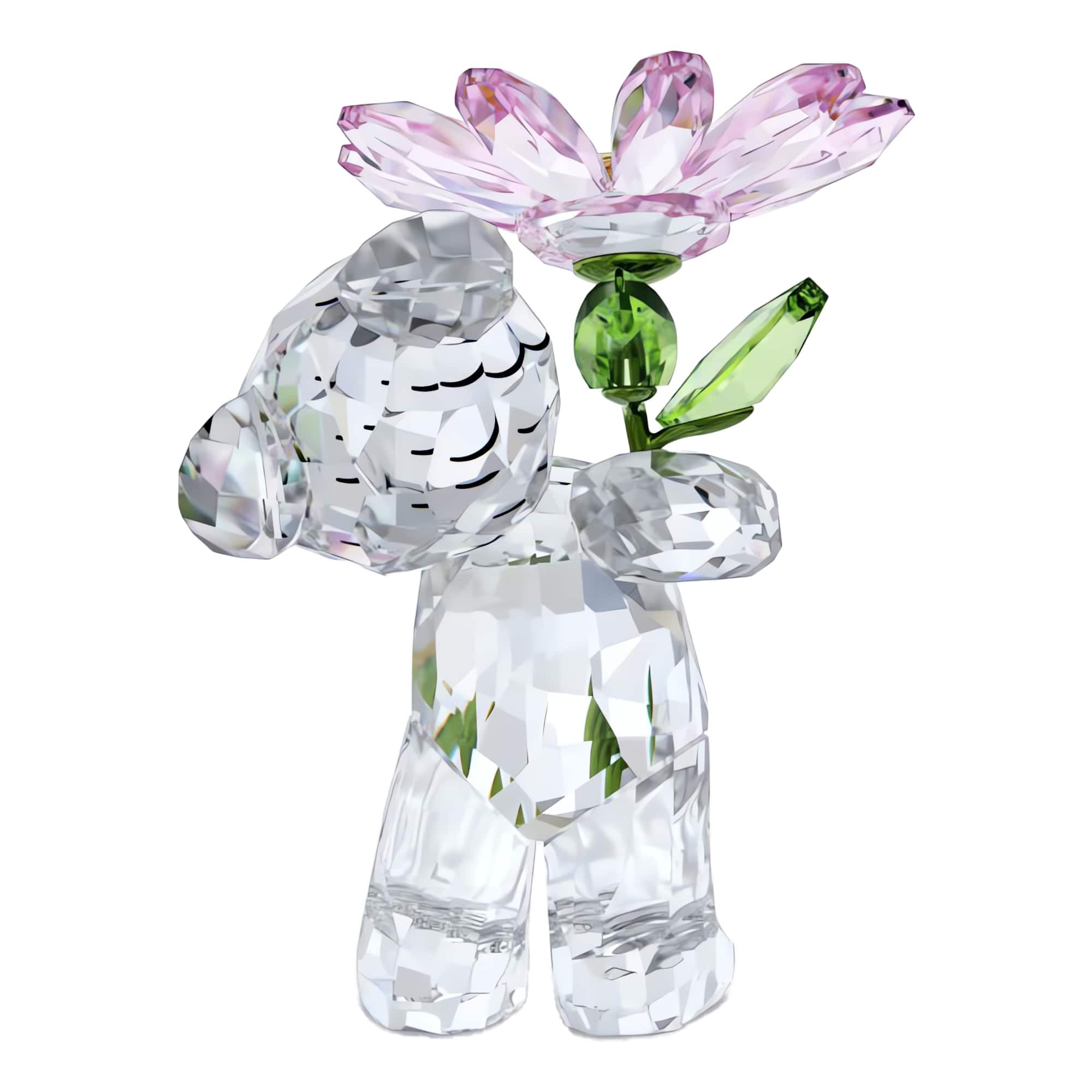 Amazon.com: Swarovski Kris Bear A Daisy for You : Home & Kitchen
