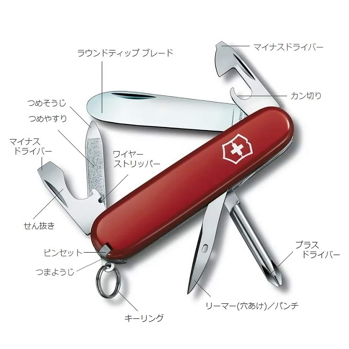 Amazon | VICTORINOX(ビクトリノックス) ナイフ 子ども用 自由研究