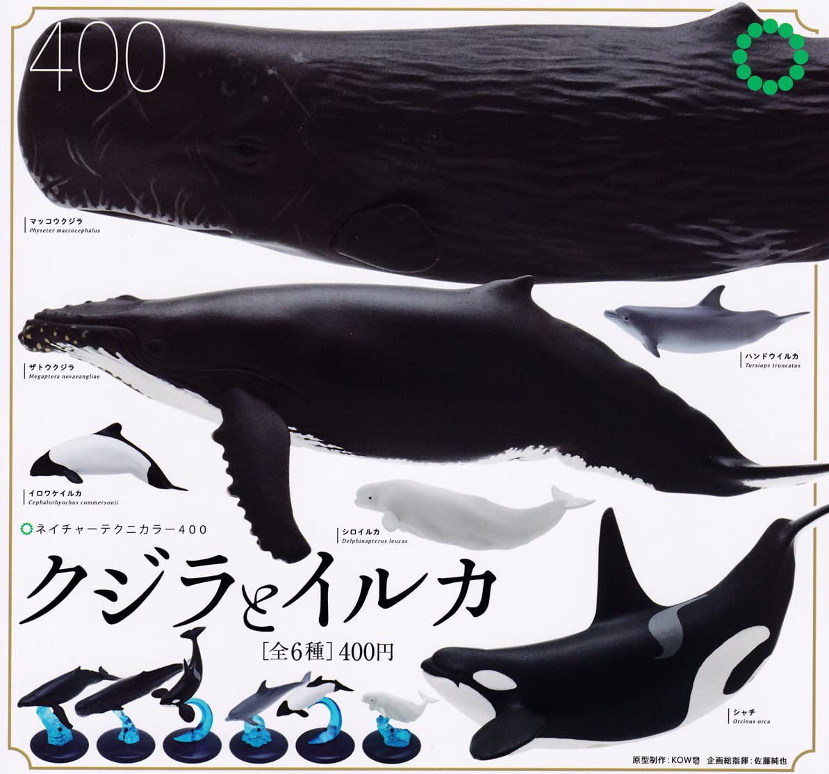 Amazon | ネイチャーテクニカラー400 クジラとイルカ [全6種セット