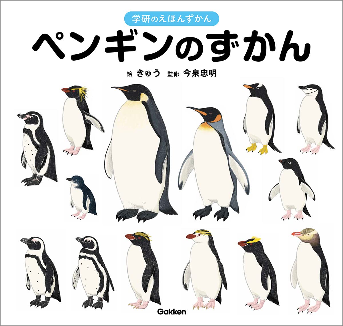 ペンギンのずかん | 今泉忠明, きゅう |本 | 通販 | Amazon