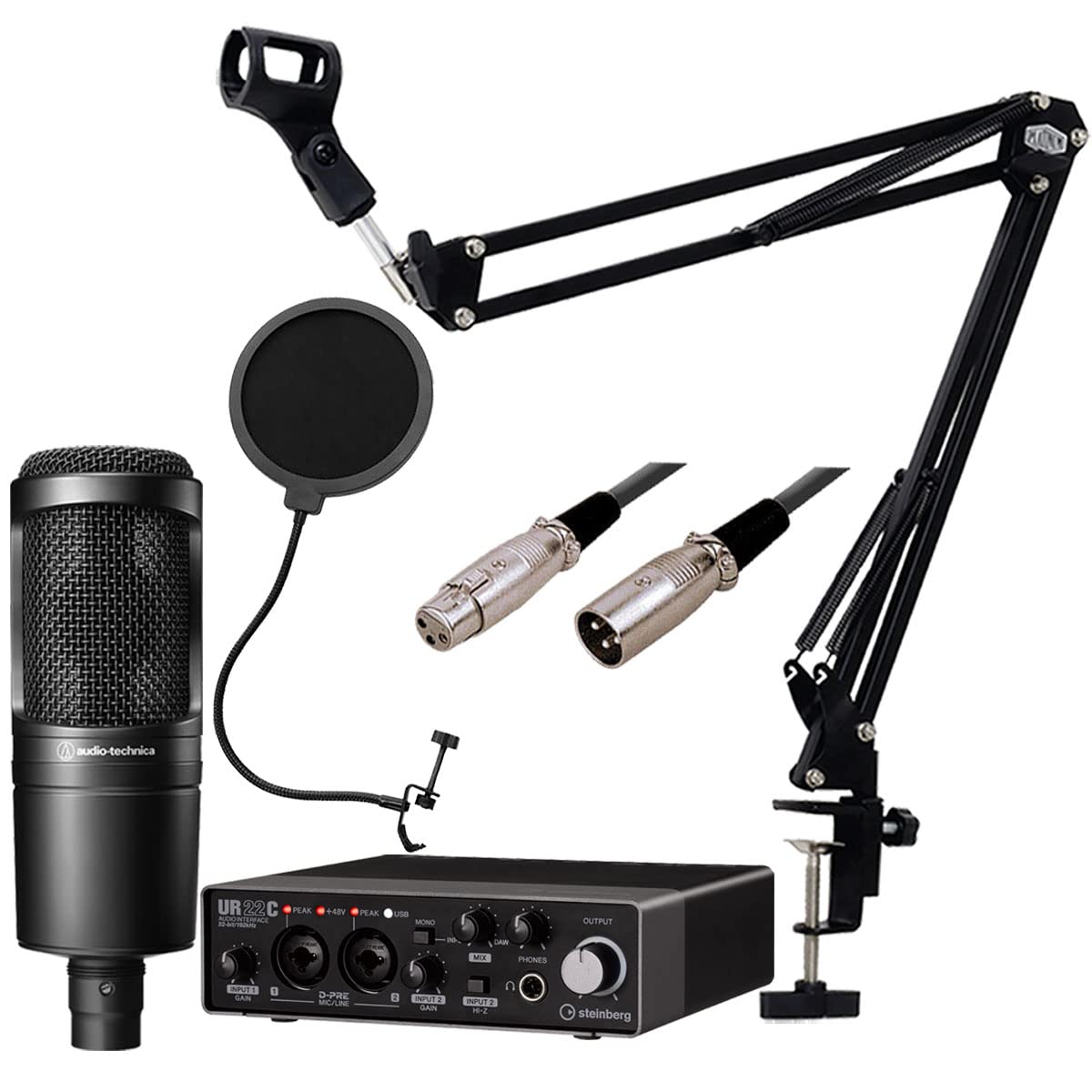 Amazon.co.jp: STEINBERG / UR22C AT2020配信DAWセット -3mマイク