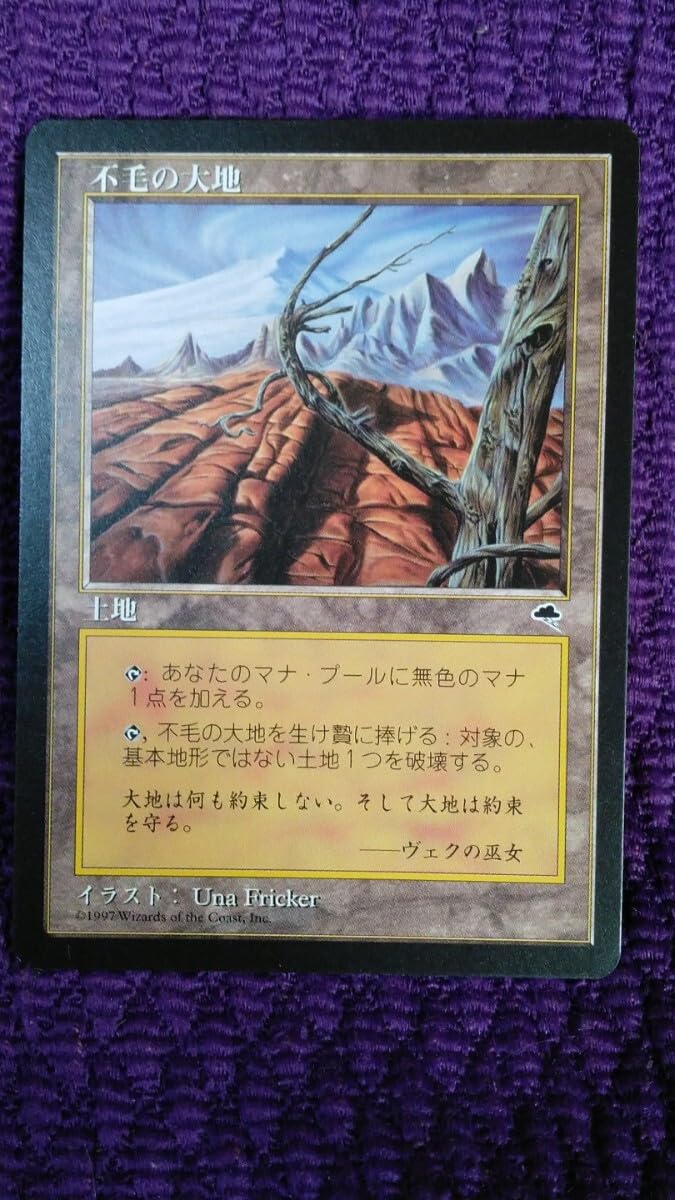 MTG】不毛の大地 foil 4枚セット 不毛の大地4枚 不毛の大地 Wasteland