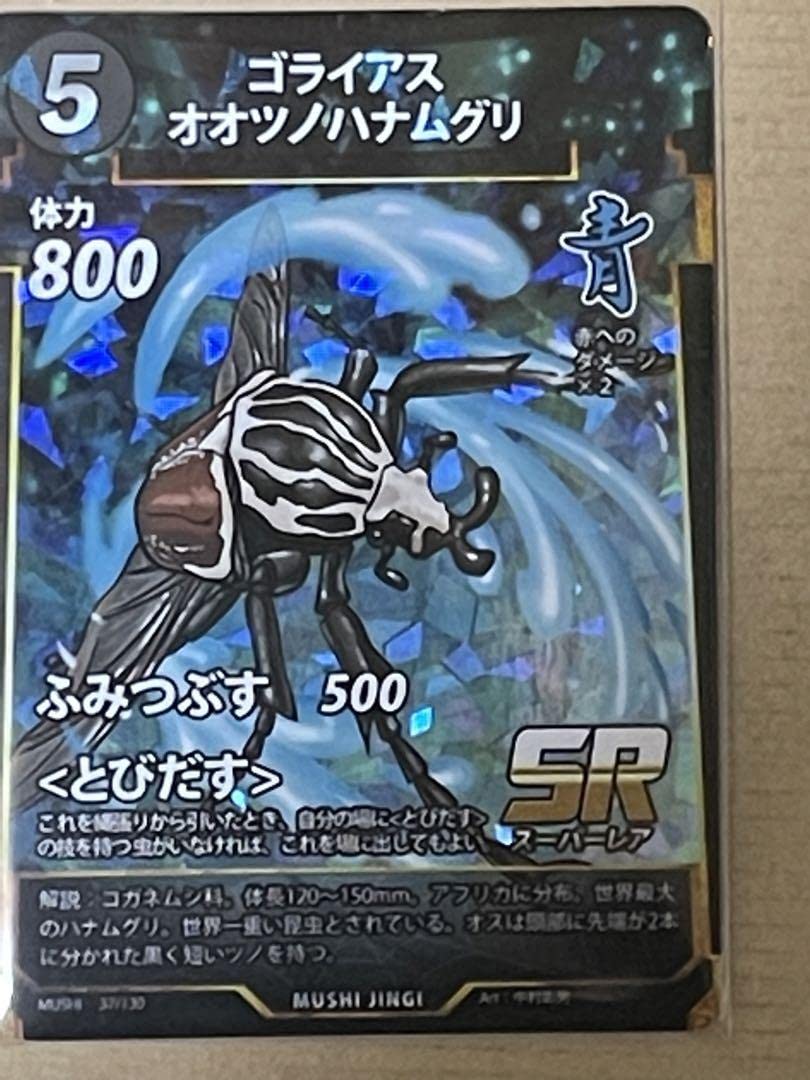 Amazon.co.jp: 蟲神器 L R オオキバウスバカミキリ 他6枚セット : 楽器