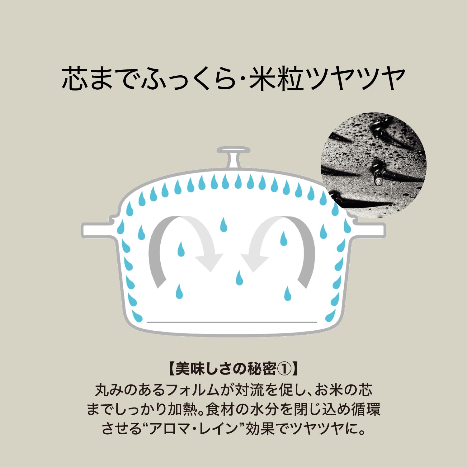 Amazon｜staub ストウブ 「 ラ ココット de GOHAN カンパーニュ S 12cm