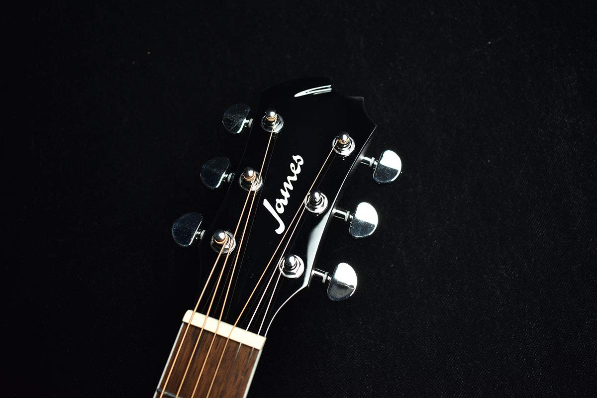 Amazon | James J-450D/Ova Black アコースティックギター エレアコ