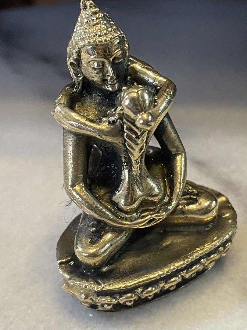 Amazon.co.jp: チベット密教 仏教 シャクティ②歓喜仏 ヤブユム像 秘仏