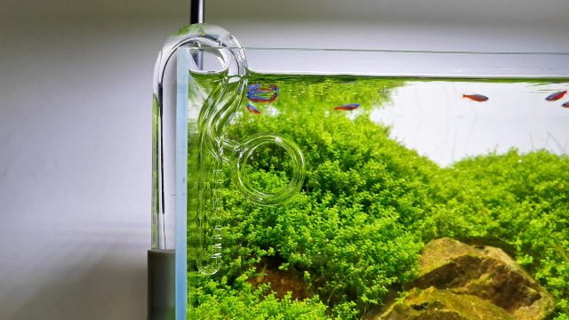 Amazon | リリィパイプ スピン 出水 小型水槽用 (直径10mm: 9/12mm