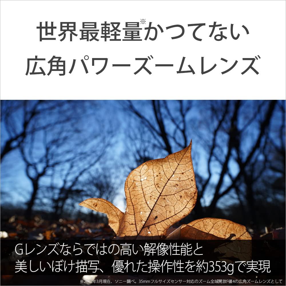 Amazon.co.jp: SONY(ソニー) 【レンズ と 純正プロテクター セット