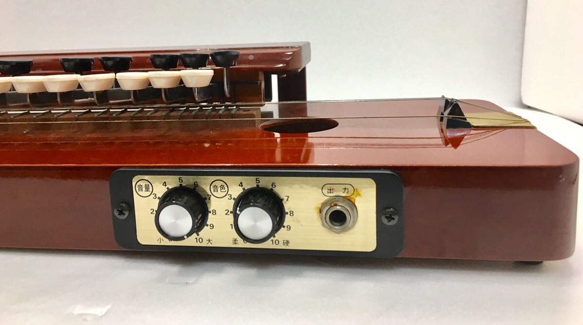 Amazon | SUZUKI スズキ 電気大正琴 砂丘 ソプラノ | 大正琴 | 楽器