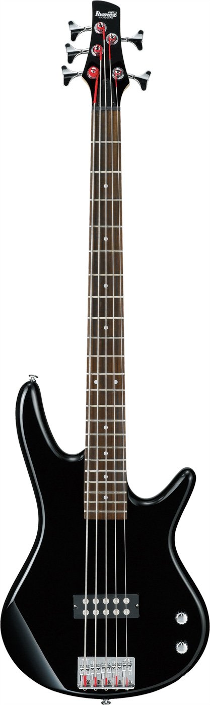 Amazon.com: Ibanez Gio SR 5 String Electric Bass - Black : Musical