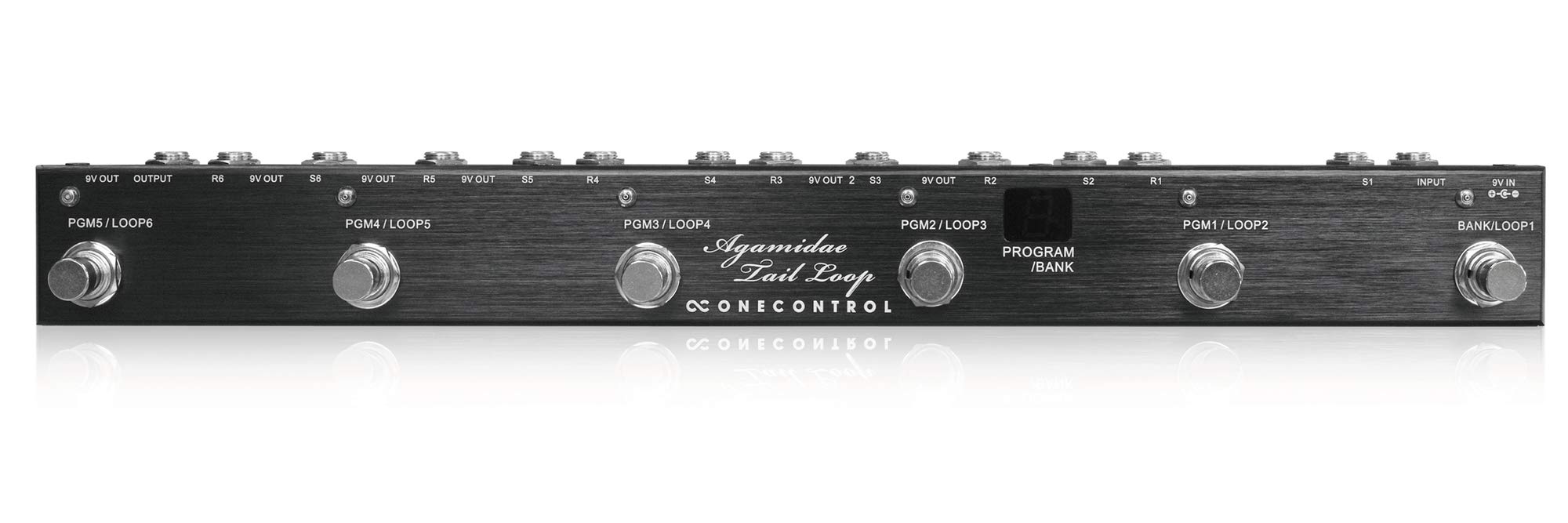Amazon.com: One Control Agamidae Tail Loop Programmable Switcher