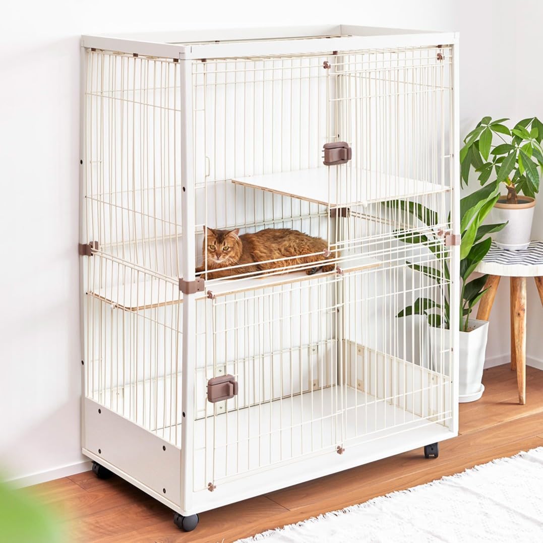 Amazon | ieneko 猫 ケージ 2段 おしゃれ 木製 幅広96cm 大型 横