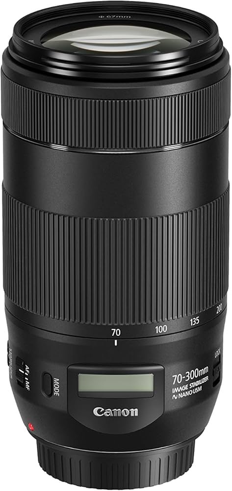 Canon EF 70-300mm f/4-5.6 is II USM Lens : CANON: Amazon.ca